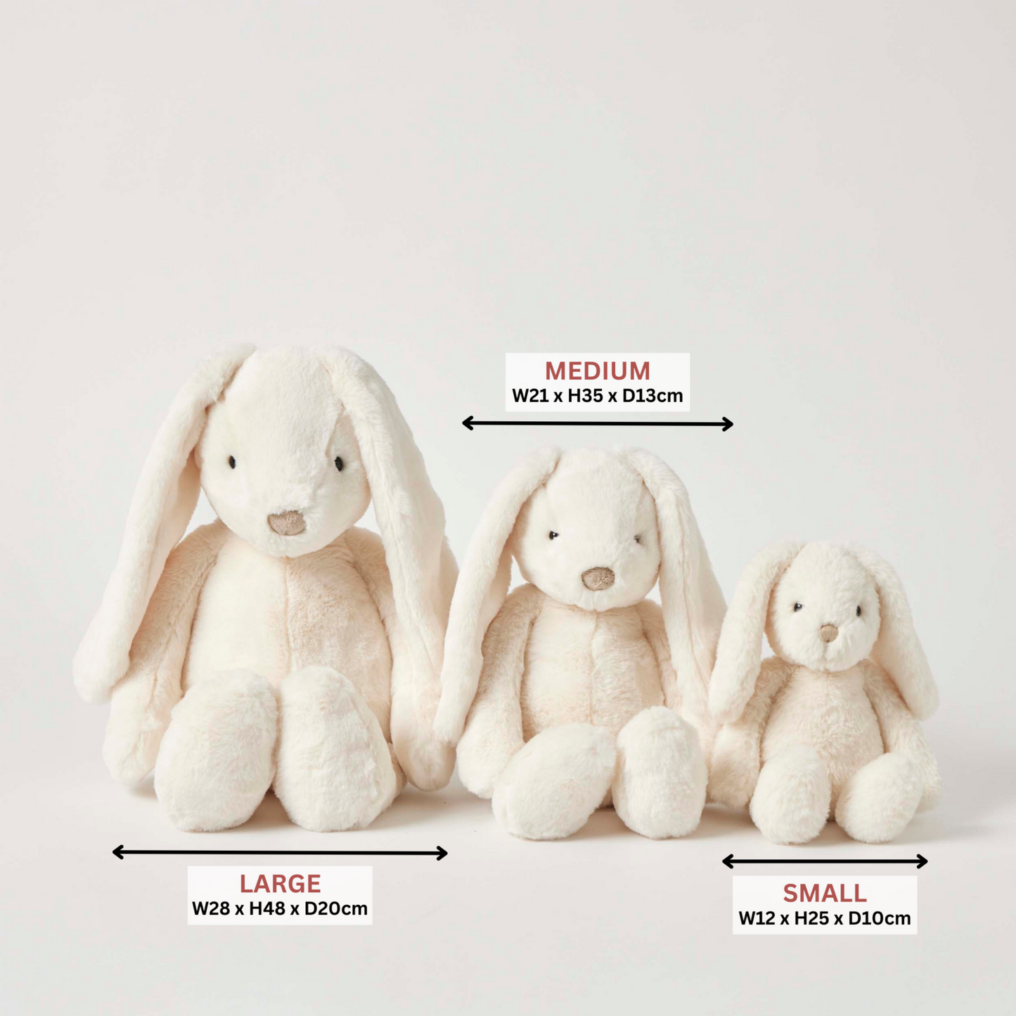 Benny Bunny | Cream Small