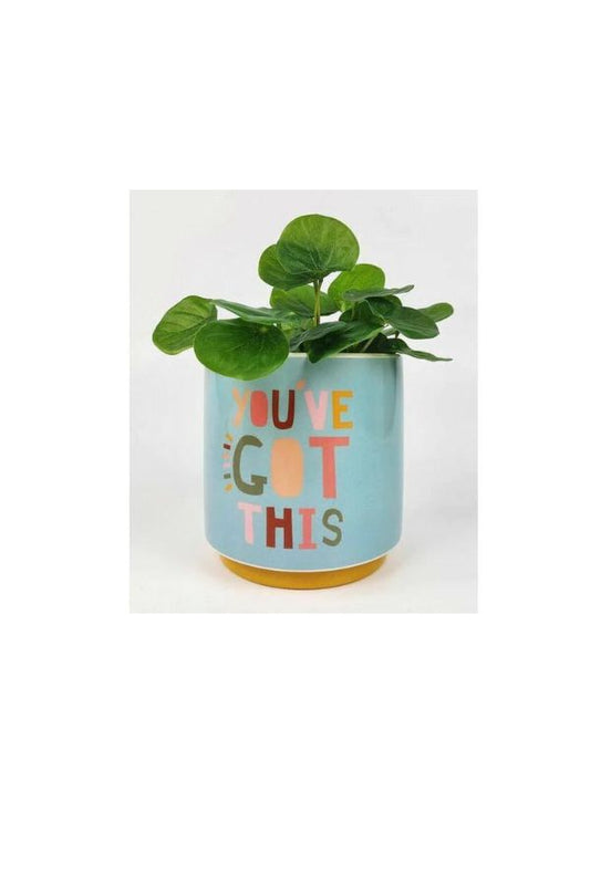 Funky Quote Planter Blue | You’ve Got This
