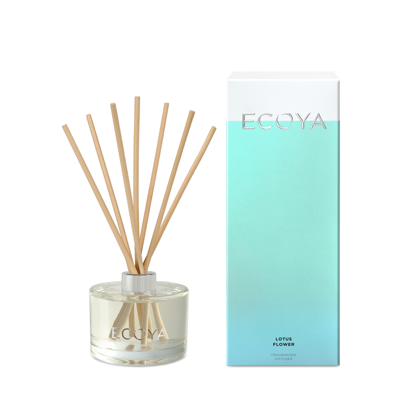 ECOYA | Lotus Flower - Assorted Styles