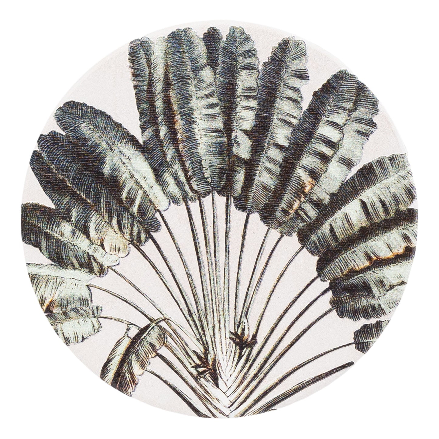 Exotic Ceramic Coaster | 6 Assorted