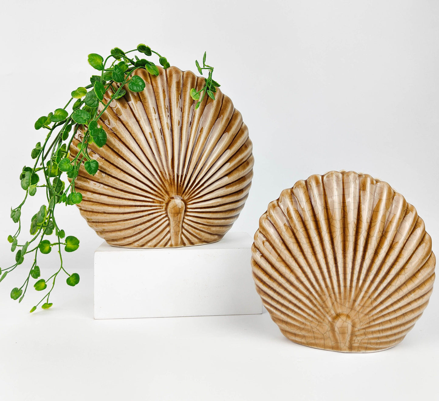 Amari Fan Palm Vase