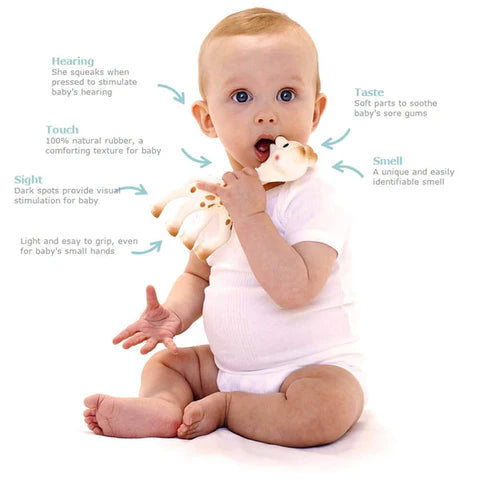 Sophie La Girafe Teether