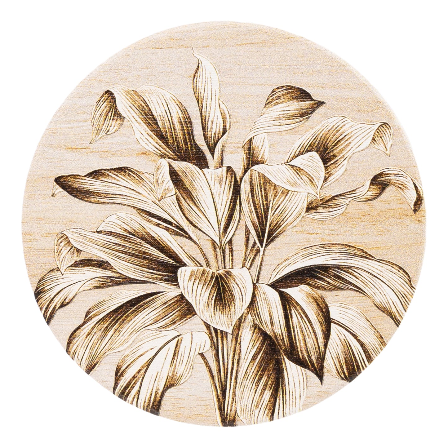 Exotic Ceramic Coaster | 6 Assorted