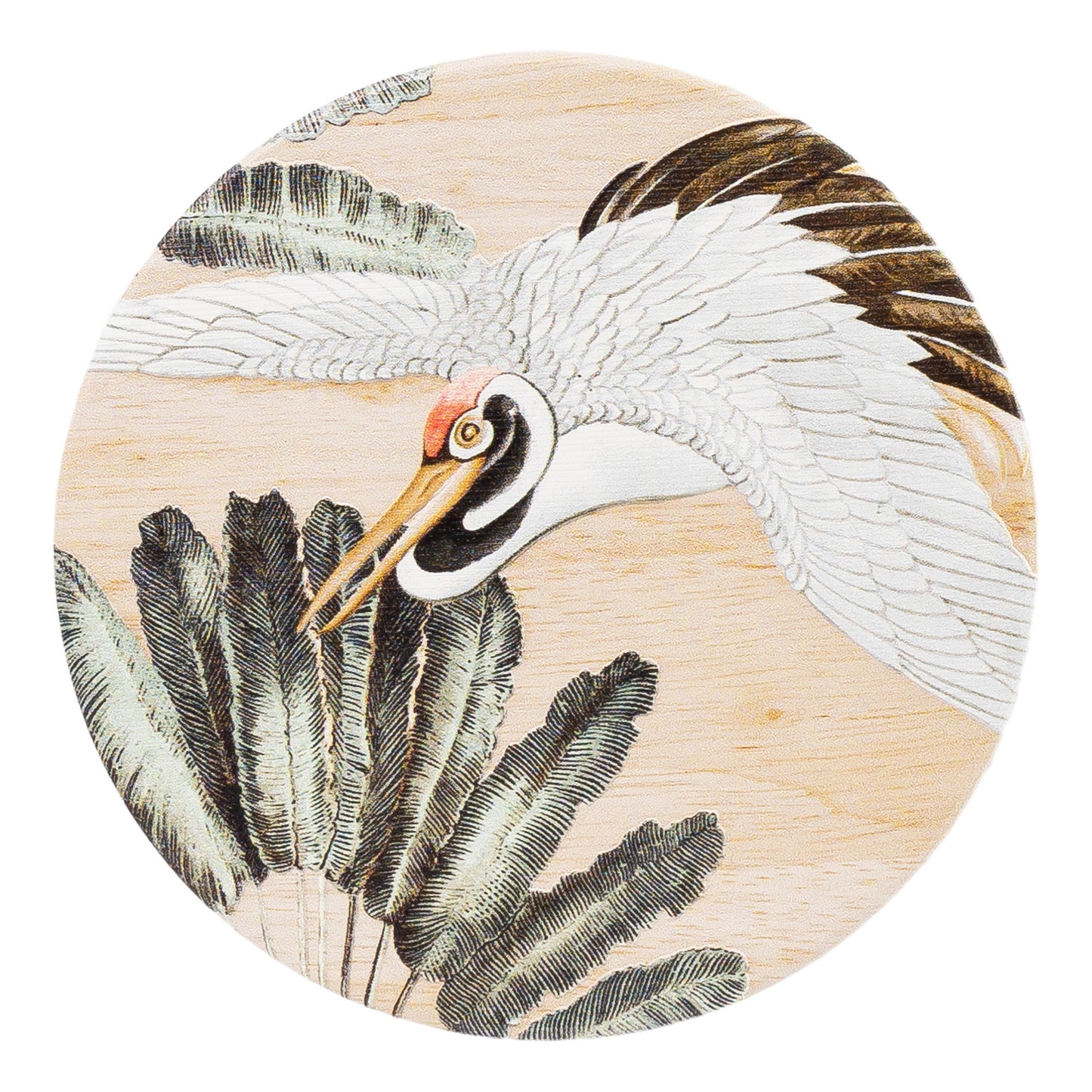 Exotic Ceramic Coaster | 6 Assorted