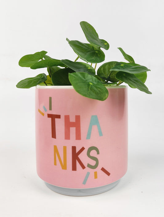 Funky Quote Planter Pink | Thanks