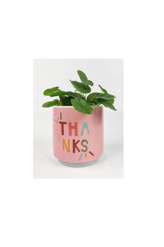 Funky Quote Planter Pink | Thanks