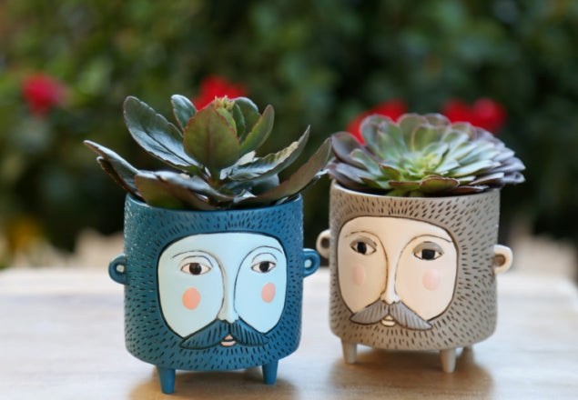 Hairy Jack Blue Planter (Small)