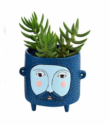 Hairy Jack Blue Planter (Small)