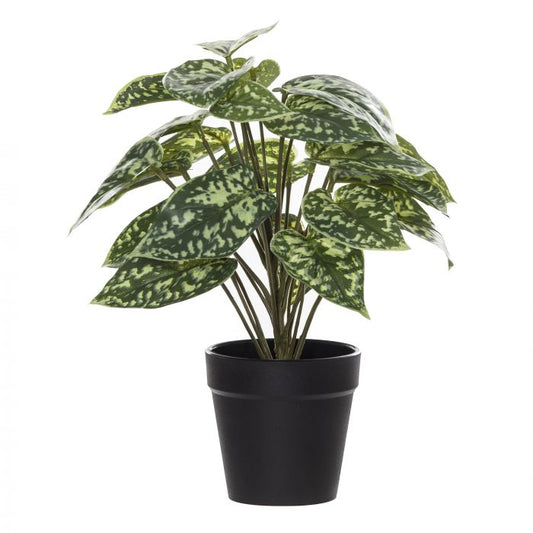 Mini Aluminium Bush in  Pot