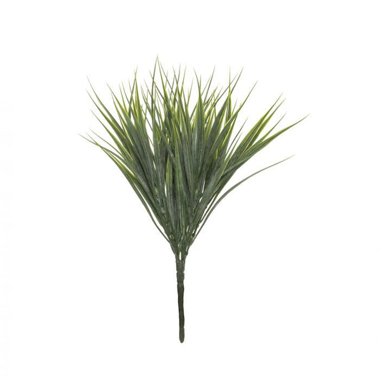 Vanilla Grass in Green