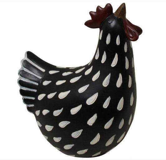 White Drop Black Hen