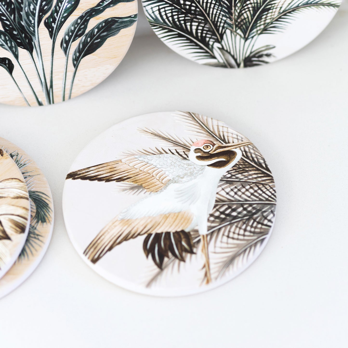 Exotic Ceramic Coaster | 6 Assorted