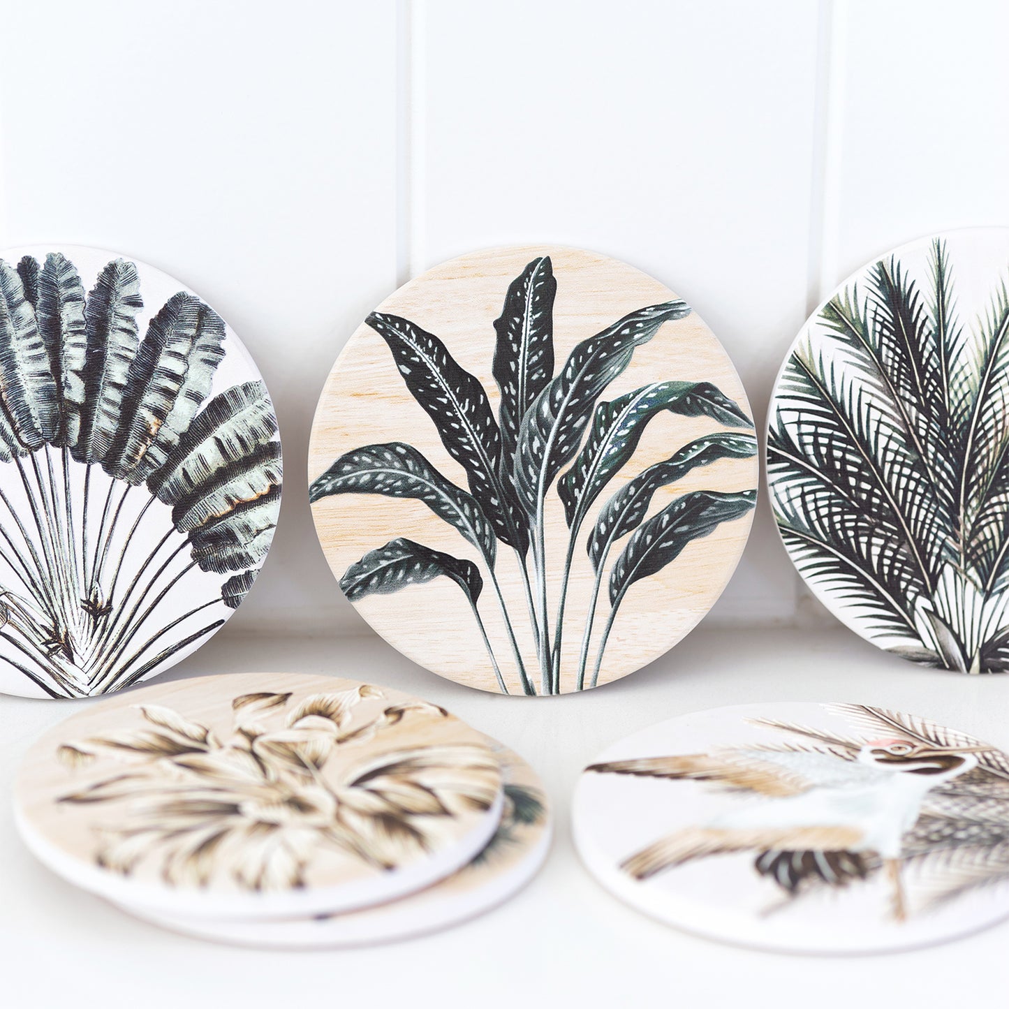 Exotic Ceramic Coaster | 6 Assorted